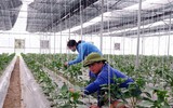 [ẢNH] Lưu ý: Những quy định quan trọng có hiệu lực từ tháng 8-2019