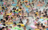 Hàng nghìn người chen nhau trong bể bơi 