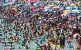 Hàng nghìn người chen nhau trong bể bơi 