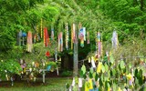 [ẢNH] Tanabata: Những điều thú vị về Lễ Thất tịch của người Nhật Bản