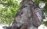 [Ảnh] Kỳ bí khu 