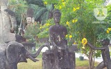 [Ảnh] Kỳ bí khu 