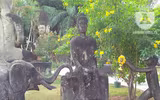 [Ảnh] Kỳ bí khu 