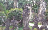 [Ảnh] Kỳ bí khu 