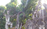 [Ảnh] Kỳ bí khu 