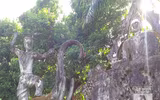 [Ảnh] Kỳ bí khu 