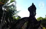 [Ảnh] Kỳ bí khu 