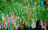 Nguồn gốc và ý nghĩa ngày Tết Ngâu
