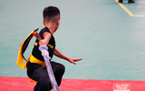 [ẢNH] Võ sĩ nhí khuấy đảo đại hội võ thuật: 