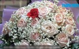 [Ảnh] Cận cảnh những đám cưới kỳ lạ 