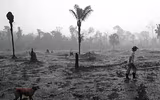 Cháy rừng Amazon: Bầu trời Brazil chìm trong khói tro, 3h chiều tối đen như giữa đêm
