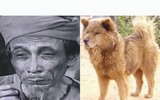 [ẢNH] Nguyên do khiến chó ta 