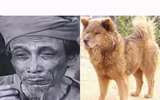 [ẢNH] Nguyên do khiến chó ta 