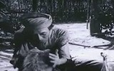 [ẢNH] Nguyên do khiến chó ta 