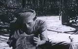 [ẢNH] Nguyên do khiến chó ta 
