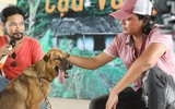 [ẢNH] Nguyên do khiến chó ta 