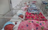 Hành trình khôn lớn của ca sinh 5 đầu tiên ở Việt Nam, giờ các bé đã vào lớp 1