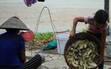 Cuộc sống đói nghèo trong những gia đình 