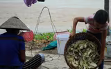 Cuộc sống đói nghèo trong những gia đình 