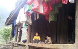Cuộc sống đói nghèo trong những gia đình 