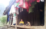 Cuộc sống đói nghèo trong những gia đình 