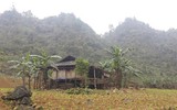 Cuộc sống đói nghèo trong những gia đình 