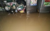 Thái Nguyên ngập lụt kỷ lục, ô tô 