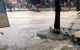Thái Nguyên ngập lụt kỷ lục, ô tô 