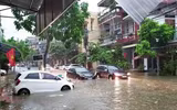 Thái Nguyên ngập lụt kỷ lục, ô tô 