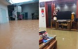 Thái Nguyên ngập lụt kỷ lục, ô tô 