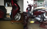 Thái Nguyên ngập lụt kỷ lục, ô tô 