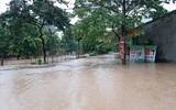 Thái Nguyên ngập lụt kỷ lục, ô tô 