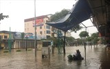 Thái Nguyên ngập lụt kỷ lục, ô tô 