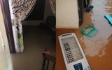 Thái Nguyên ngập lụt kỷ lục, ô tô 