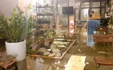 Thái Nguyên ngập lụt kỷ lục, ô tô 