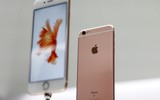 [ẢNH] Sự lột xác ngoạn mục của iPhone qua các thời kỳ