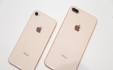 [ẢNH] Sự lột xác ngoạn mục của iPhone qua các thời kỳ
