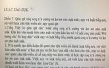 [ẢNH] Những đề xuất cải cách giáo dục khiến dư luận tranh cãi gay gắt