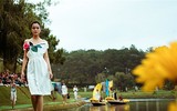 [ẢNH] NTK Công Huân: 