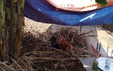 [ẢNH] Mâu thuẫn tiền bạc: Khởi nguồn của nhiều vụ án thương tâm