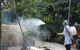 [ẢNH] Những điều cần biết về Whitmore- Bệnh truyền nhiễm có nguy cơ gây tử vong
