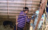 Cận cảnh căn hầm bí mật trong đường dây trộm 100 tấn chó ở Thanh Hóa