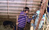 Cận cảnh căn hầm bí mật trong đường dây trộm 100 tấn chó ở Thanh Hóa