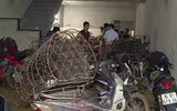 Cận cảnh căn hầm bí mật trong đường dây trộm 100 tấn chó ở Thanh Hóa