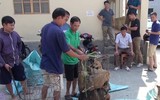 Cận cảnh căn hầm bí mật trong đường dây trộm 100 tấn chó ở Thanh Hóa