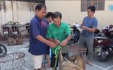 Cận cảnh căn hầm bí mật trong đường dây trộm 100 tấn chó ở Thanh Hóa