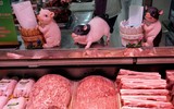 [ẢNH] Phương án chống chọi với dịch tả lợn Châu Phi ở một số nước trên thế giới
