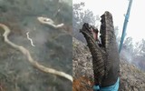 Indonesia: Bầu trời 
