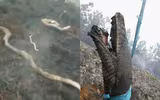 Indonesia: Bầu trời 