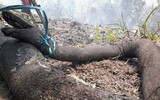 Indonesia: Bầu trời 